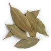 Picture of LÁ THƠM BAY LEAVES (NGUYỆT QUẾ)